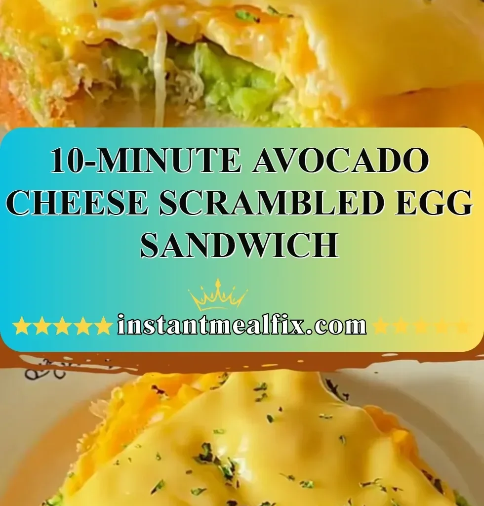 Delicious avocado cheese scrambled egg sandwich on a plate
