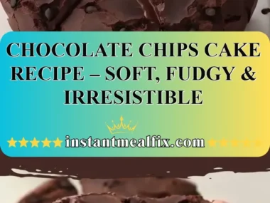 Delicious chocolate chips cake topped with melting chocolate