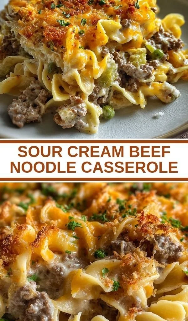 Sour Cream Beef Noodle Casserole served in a dish with garnishes