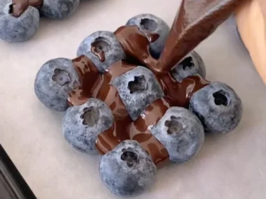 Blueberry Chocolate Yogurt Brick featuring rich chocolate and fresh blueberries