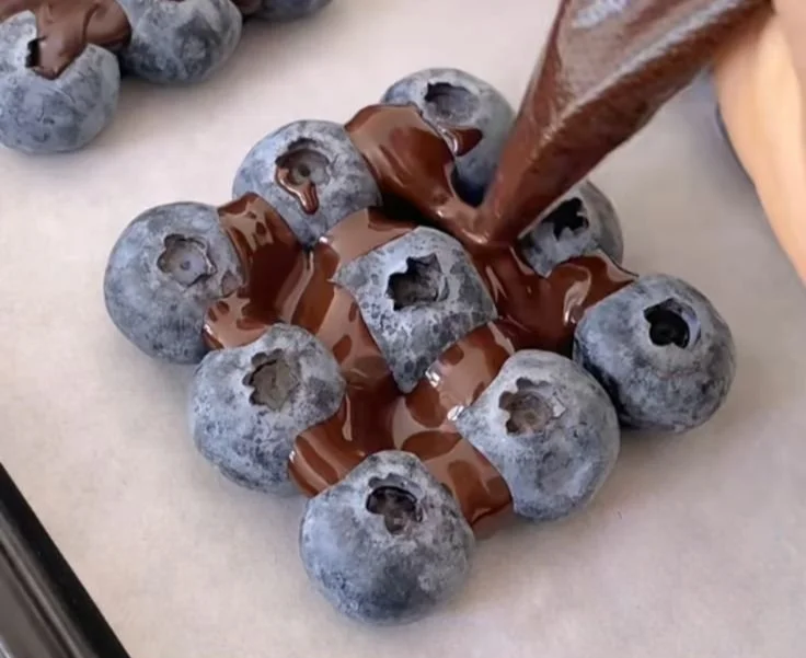 Blueberry Chocolate Yogurt Brick featuring rich chocolate and fresh blueberries