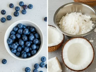 Healthy blueberry coconut balls frozen snacks for dogs