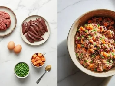 Homemade dog meatloaf recipe for healthy and tasty dog meals