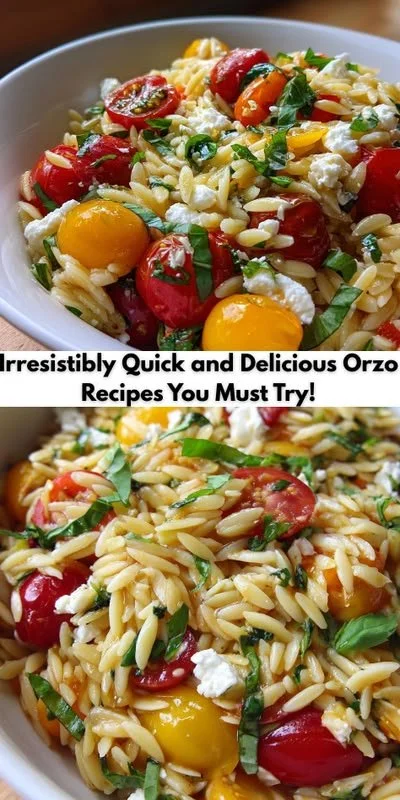 A variety of quick and delicious orzo dishes displayed on plates.