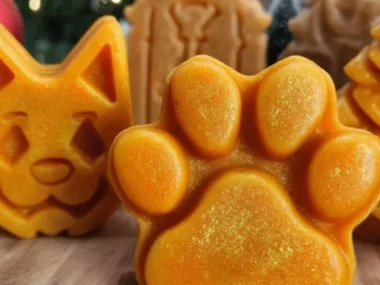 Wholesome pumpkin and turmeric dog treats for healthy dogs